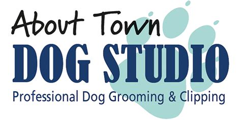 Services & Bookings – About Town Dog Studio